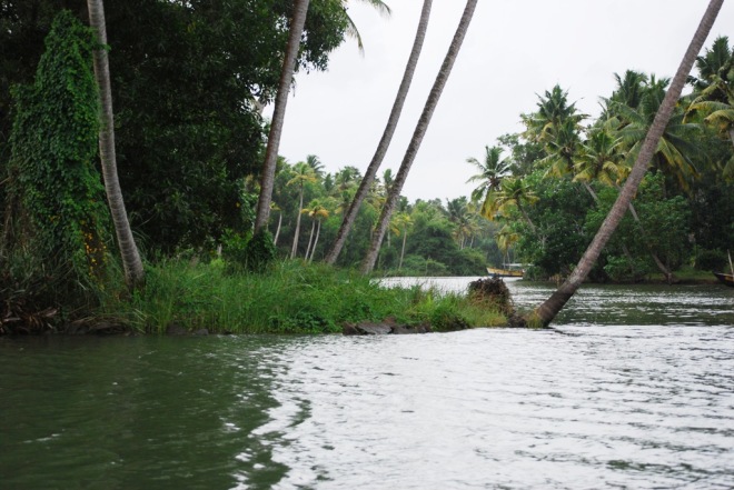 the river at poovar
